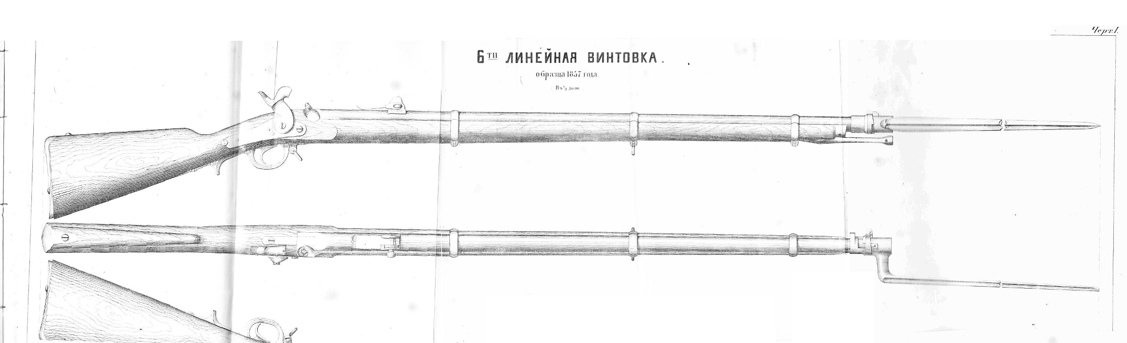 Baranov 1856 Rifle MusketBaranov 1856 Rifle Musket_1.png
